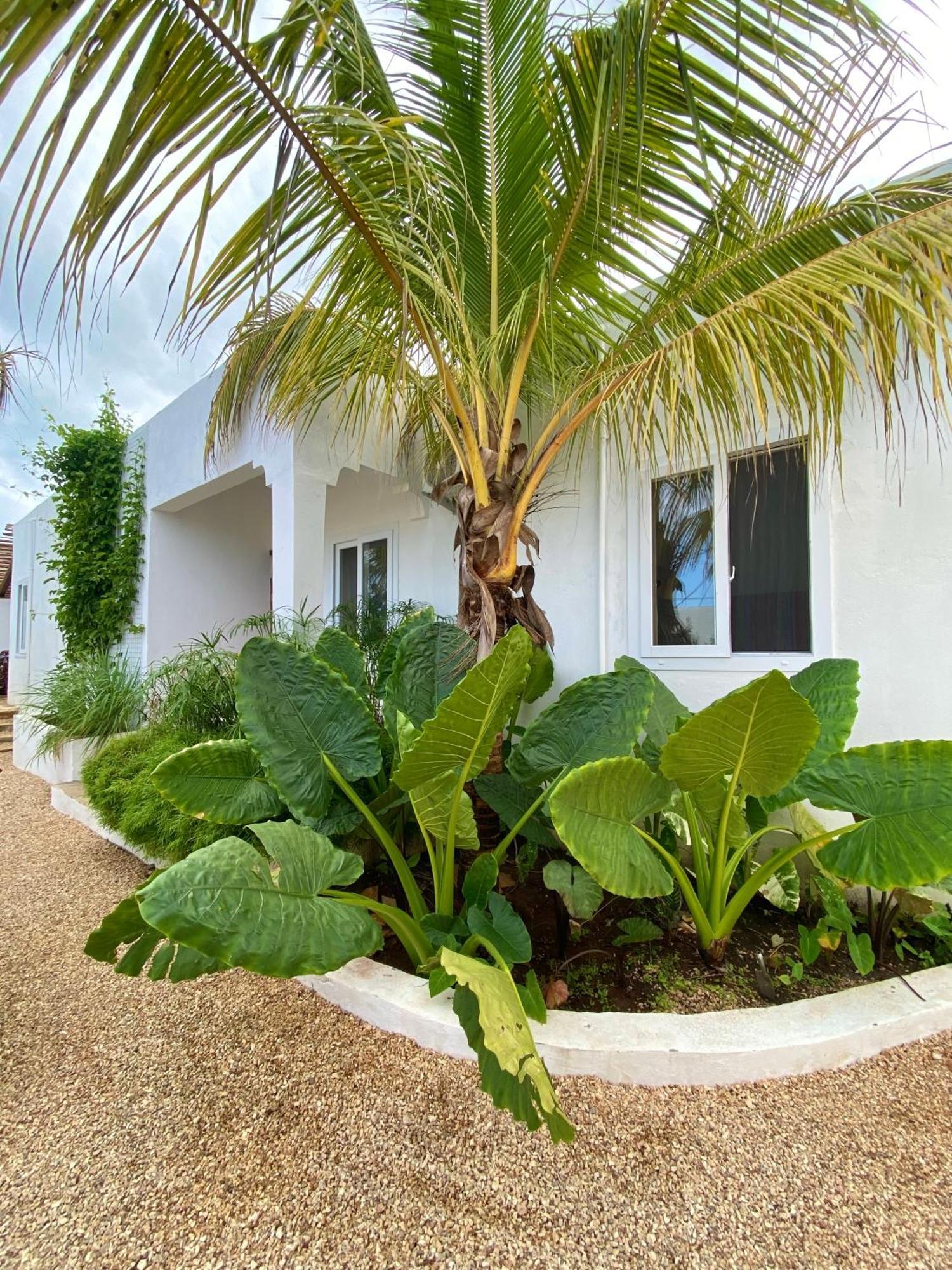 Cactus Zanzibar Inn *